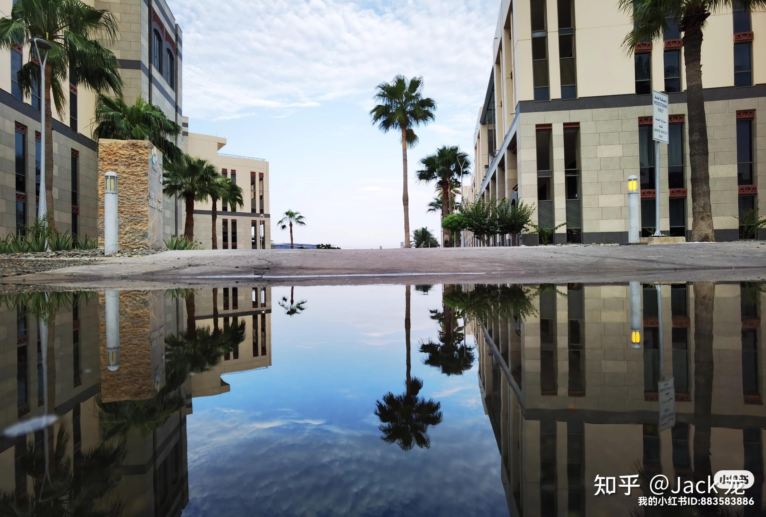 Kaiyun体育App下载-库托vs马加里托二番战