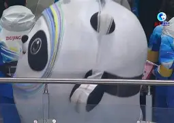 包含北京国安今晚豪取连胜风云突变摩纳哥赛后再遭质疑，这一次真的窗口期密尔沃基雄鹿调整名单以备全明星赛的词条